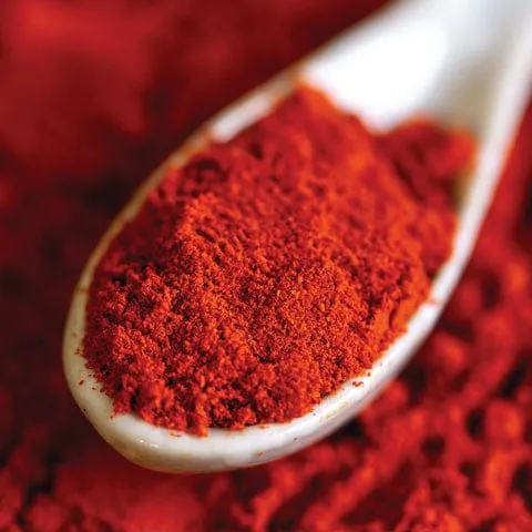 Kashmiri Red Chilli Powder